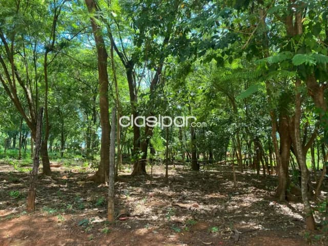 Terreno en limpio salado cod 5387 — foto 3