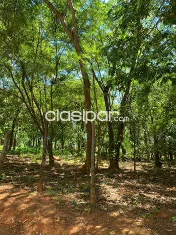 Terreno en limpio salado cod 5387 — foto 4