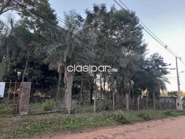 Amplio terreno en Luque, barrio zarate isla cod 5397