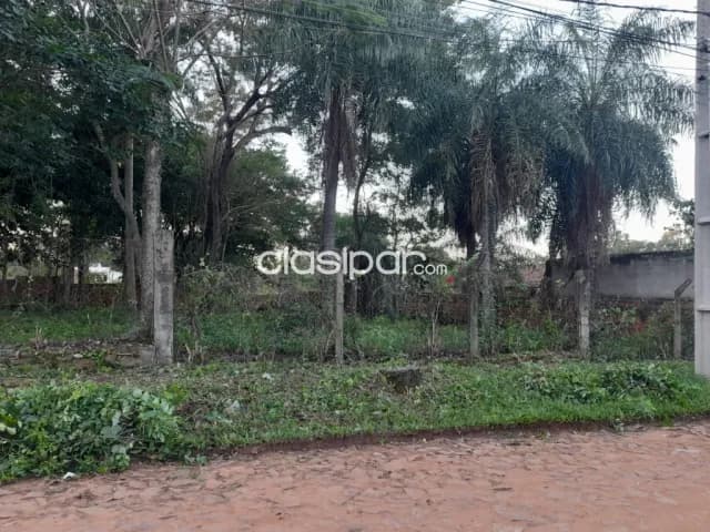 Amplio terreno en Luque, barrio zarate isla cod 5397 — foto 4