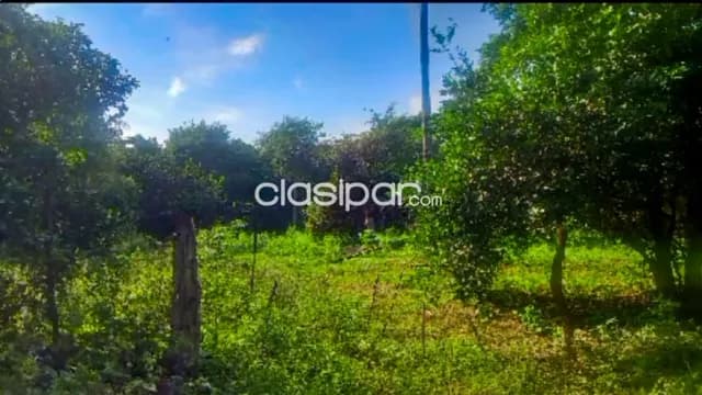 Terreno de 1024 m² en altos – ¡a super precio! 💰 g. 155.000.000 por ¡2 terrenos juntos!, foto 2