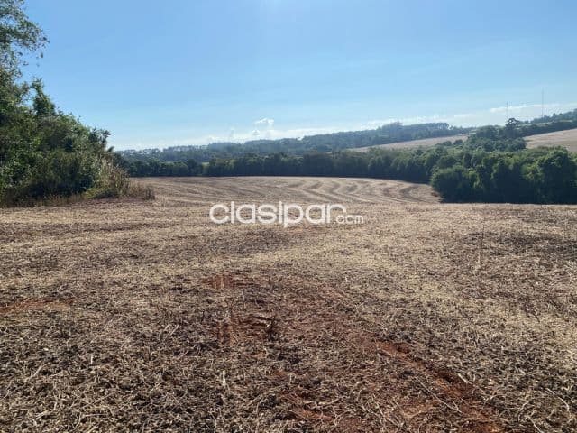 Terreno Agrícola Mecanizado en Bella Vista - 15 Ha