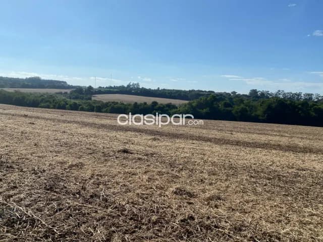 Terreno Agrícola Mecanizado en Bella Vista - 15 Ha — foto 3