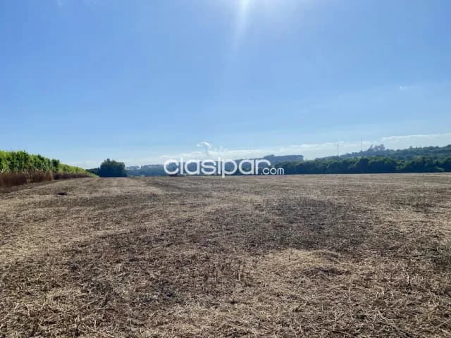 Terreno Agrícola Mecanizado en Bella Vista - 15 Ha — foto 4