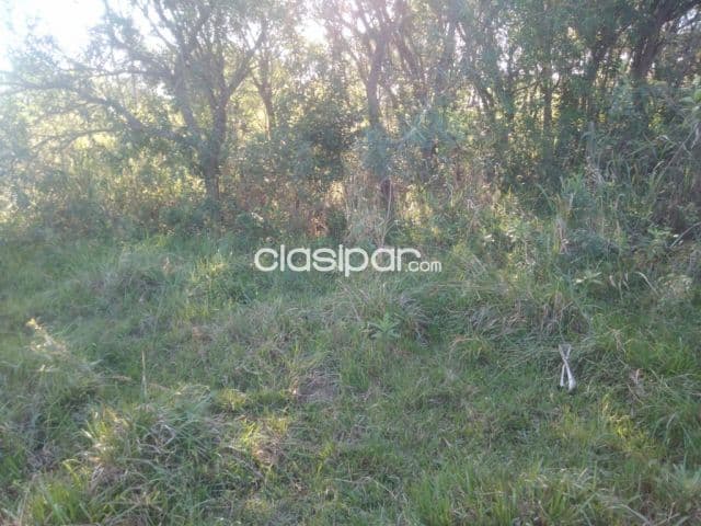 Yaguaron vendo prop.de 3 hectáreas con arroyo y casa a refaccionar a 1 km. Del centro