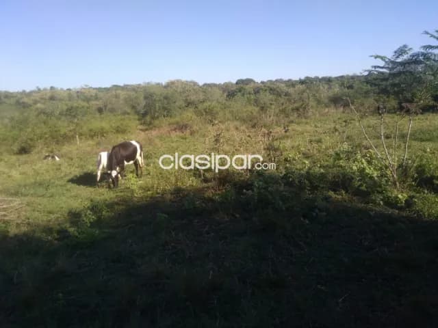 Yaguaron vendo prop.de 3 hectáreas con arroyo y casa a refaccionar a 1 km. Del centro — foto 3