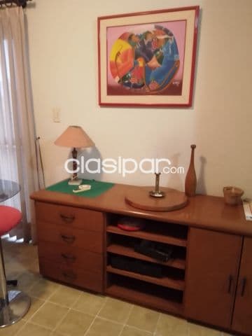 Departamento microcentro de asuncion