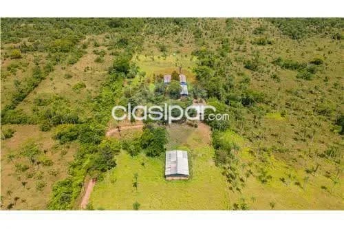 Altos, cordillera: 8.2 has, granja p/ ecoturismo, arroyos, avicola, infraestructura — foto 3