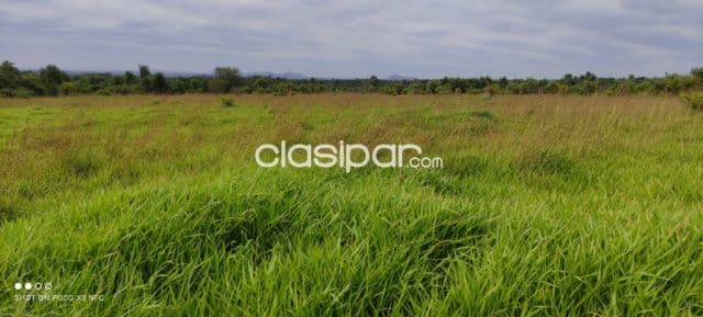 Villeta, guarambaré: 11 has, villa industrial, granja guaraí, 550.000 usd