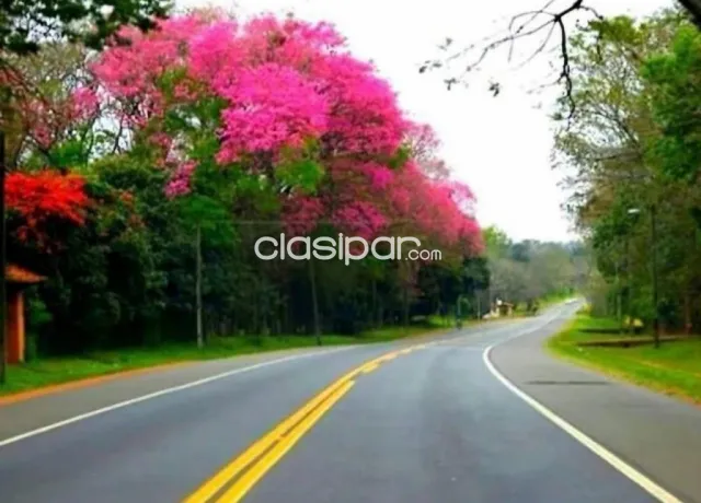 Yaguaron, paraguarí, s/ ruta: 23 has, aptas p/ loteamientos, inmobiliarios, servicios, foto 2