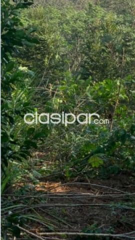 Ciervo cua, sanber: 4.8 has, vista infinita al lago, alto crecimiento inmobiliario, loteam