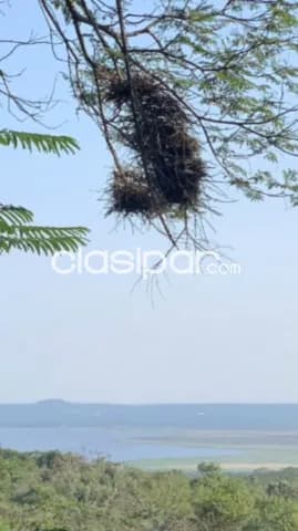 Ciervo cua, sanber: 4.8 has, vista infinita al lago, alto crecimiento inmobiliario, loteam — foto 3