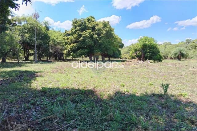 En venta importante terreno de 5 HECTÁREAS en Itauguá con 107 metros de frente y más de 46, foto 5