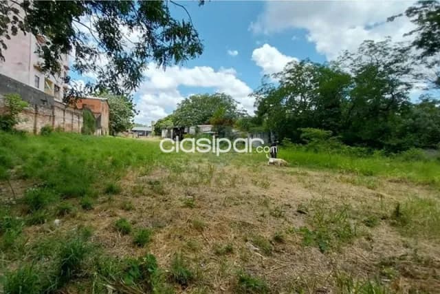 Terreno - Venta -Fernando de la Mora ZONA NORTE. VILLA OFELIA, foto 4