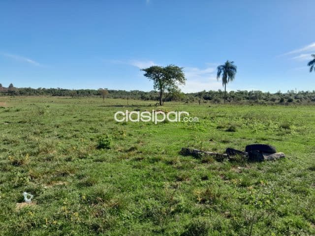 200 hectáreas alquilo para proyecto ganadero agrícola. Pero es solo sujeto a venta el alq — foto principal