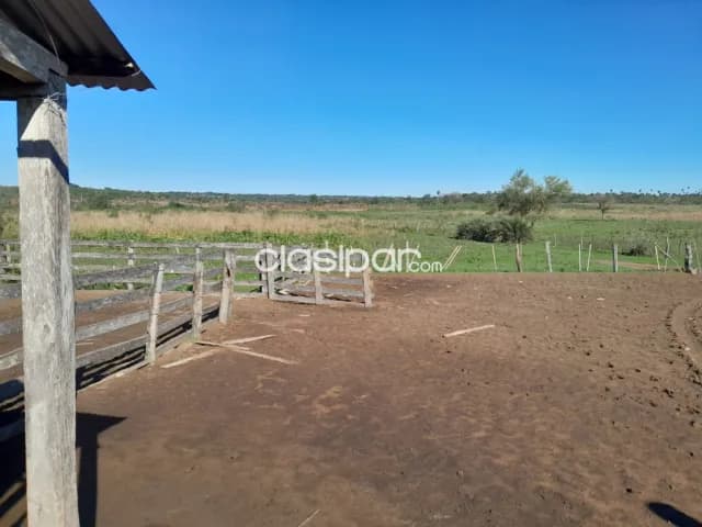 200 hectáreas alquilo para proyecto ganadero agrícola. Pero es solo sujeto a venta el alq — foto 4
