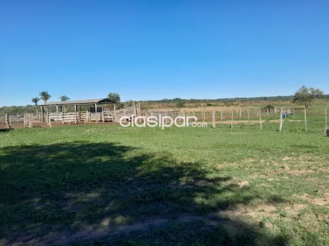 200 hectáreas alquilo para proyecto ganadero agrícola. Pero es solo sujeto a venta el alq — foto 5