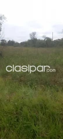 750 hectáreas orientadas a Ganadería en ubi.,privilegiada. OPERACIÓN DE ALQUILER CON VENTA — foto 2