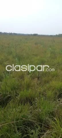 750 hectáreas orientadas a Ganadería en ubi.,privilegiada. OPERACIÓN DE ALQUILER CON VENTA — foto 3