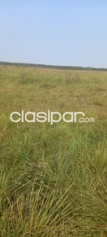 750 hectáreas orientadas a Ganadería en ubi.,privilegiada. OPERACIÓN DE ALQUILER CON VENTA — foto 4
