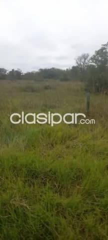 750 hectáreas orientadas a Ganadería en ubi.,privilegiada. OPERACIÓN DE ALQUILER CON VENTA — foto 5