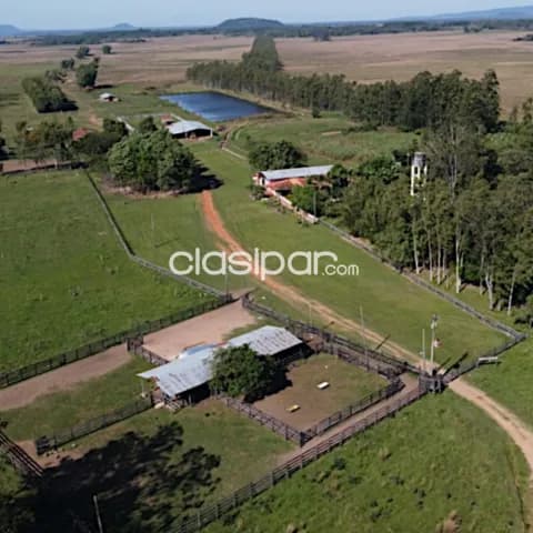 Paraguarí, oportunidad: 390 has, p/ uso forestal, ganadería, suelo optimo, pastura, foto 2