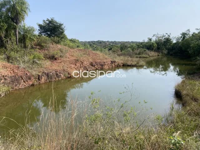 🏡 Venta de Casa Quinta en Ypacaraí - Un Paraíso Natural para Vivir y Disfrutar 🌿 ID:8716, foto 2