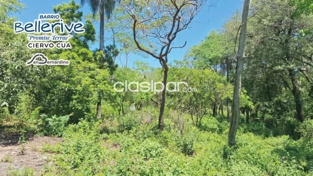CIERVO CUA SAN Ber en medio del Vórtice residencial IMPONENTE ESQUINA- OFERTA!!!, foto 3
