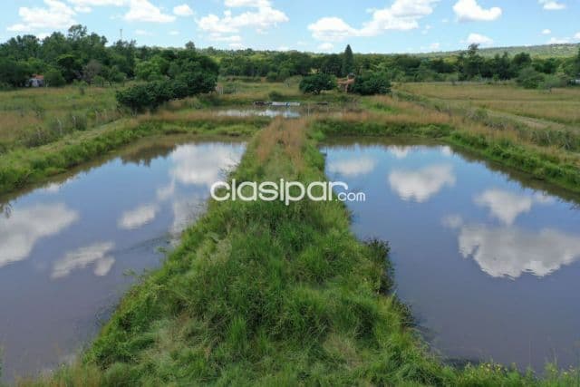 🔹Vendo propiedad en Atyrá – Ideal para descanso o inversión🔹