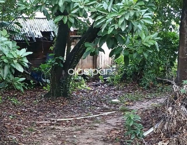 Remato! Sma. Trinidad, prox. Coleg. Santa ana: 600 m2, altamente residenciales, oportunida