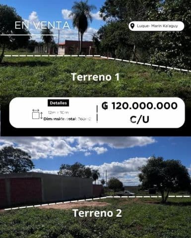 2 terrenos en Luque zona marin guaaguy cod 5587
