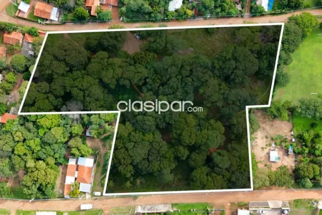 Terreno en limpio, foto 3