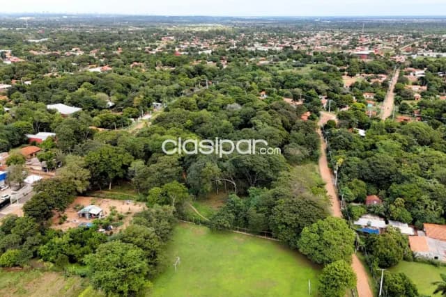 Terreno en limpio, foto 4