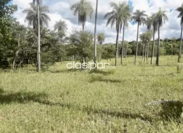 6,5 ha. Campo en caacupe-cia.ita-ybumi, foto 2