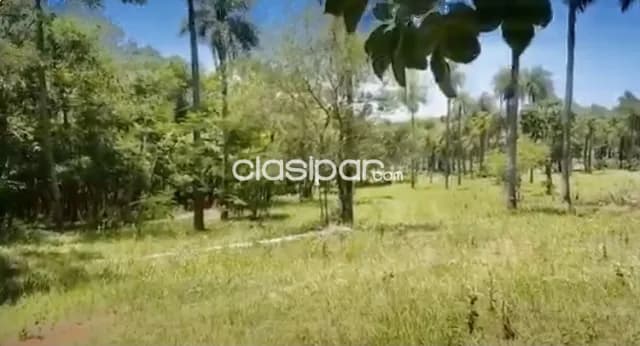 6,5 ha. Campo en caacupe-cia.ita-ybumi, foto 4