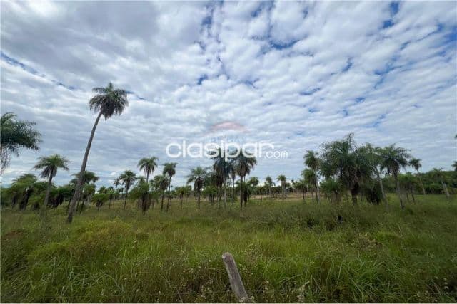 Campo Agrícola/Ganadero en Piribebuy - 52 Ha