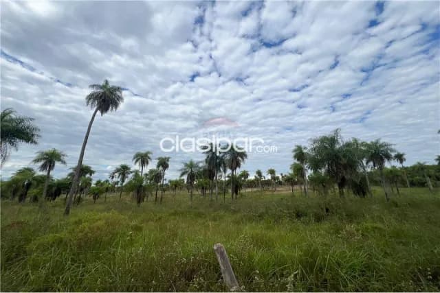 Campo Agrícola/Ganadero en Piribebuy - 52 Ha — foto 2