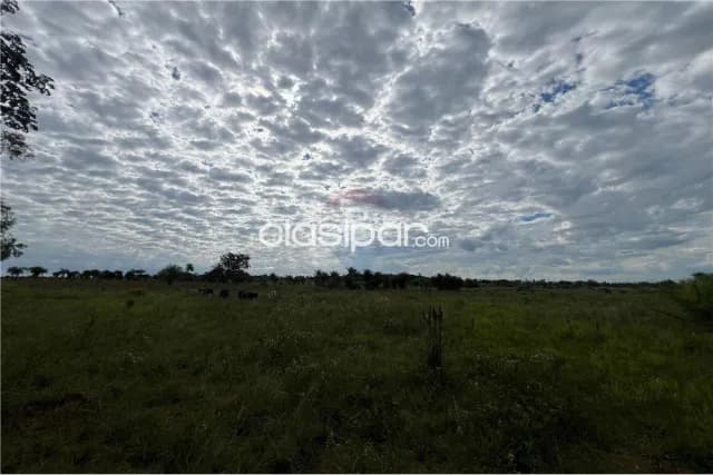 Campo Agrícola/Ganadero en Piribebuy - 52 Ha — foto 4