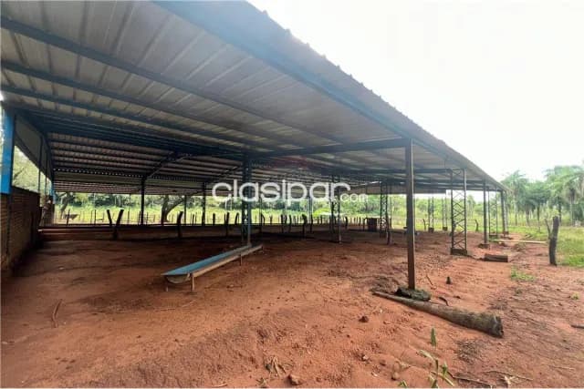 Campo Agrícola/Ganadero en Piribebuy - 52 Ha — foto 5