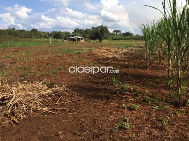 Campo Agrícola Mecanizado en Yguazú - 27 Ha — foto 4