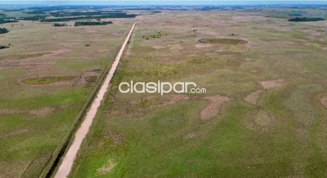 Campo Agrícola/Ganadero en Yabebyry - 2556 Ha, foto 1
