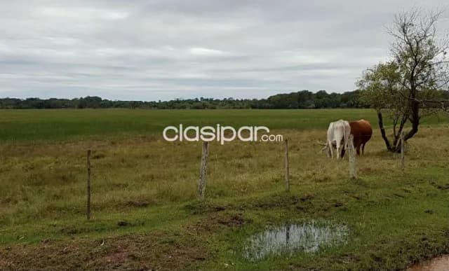 Campo Agrícola/Ganadero en Yabebyry - 2556 Ha, foto 5