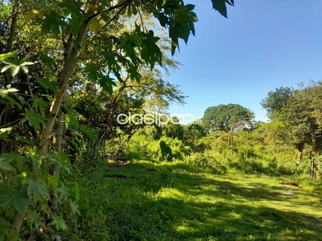 Amplia propiedad de 3.256 m2 en Capiatá Rojas Cañada Zona Capsa, foto 2