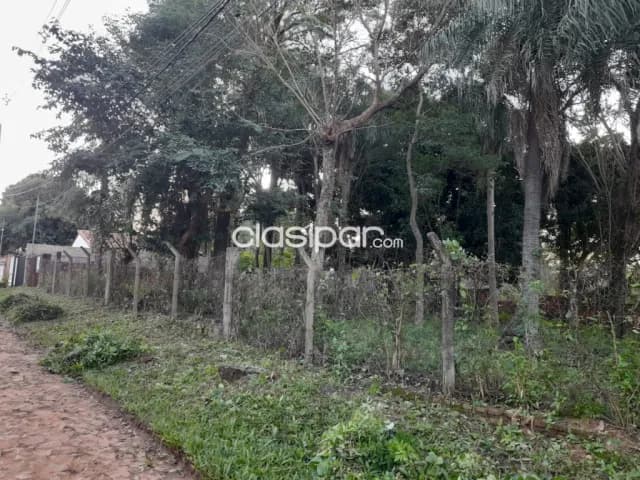 Amplio terreno en Luque, barrio zarate isla cod 5397 — foto 4