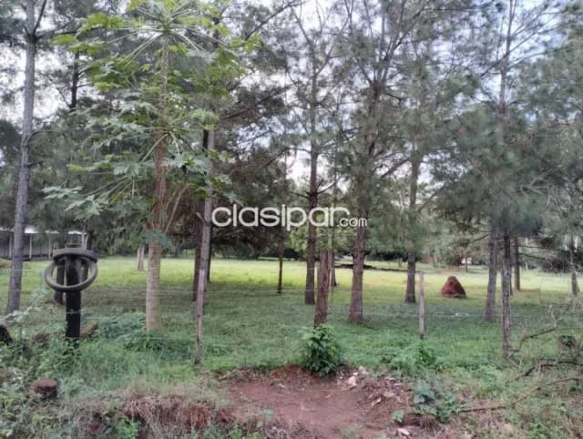 Terreno ideal para desarrollo inmobiliario en maramburé, Luque — foto 2