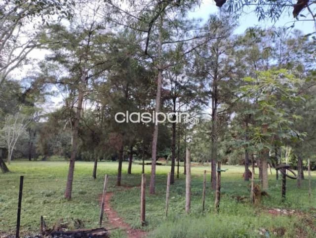 Terreno ideal para desarrollo inmobiliario en maramburé, Luque — foto 3