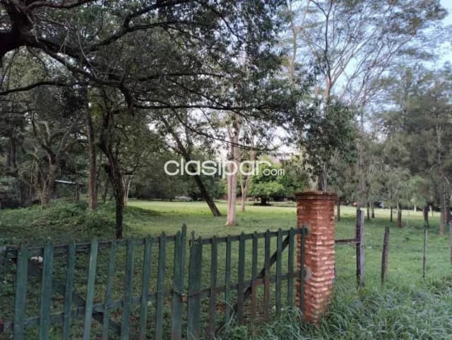 Terreno ideal para desarrollo inmobiliario en maramburé, Luque — foto 4