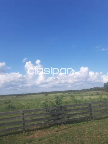 Propiedades en venta | vendo un terreno 👉 concepcion, foto 4
