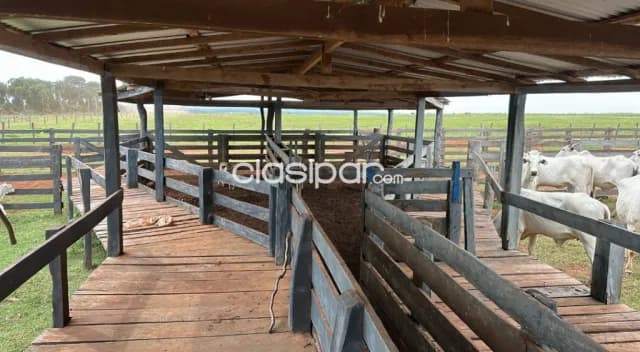 Establecimiento agroganadero de 517 htas.- zona itanara.- financio — foto 3