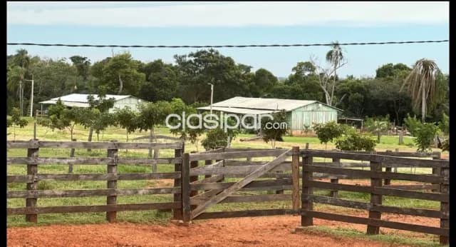 Establecimiento agroganadero de 517 htas.- zona itanara.- financio — foto 4